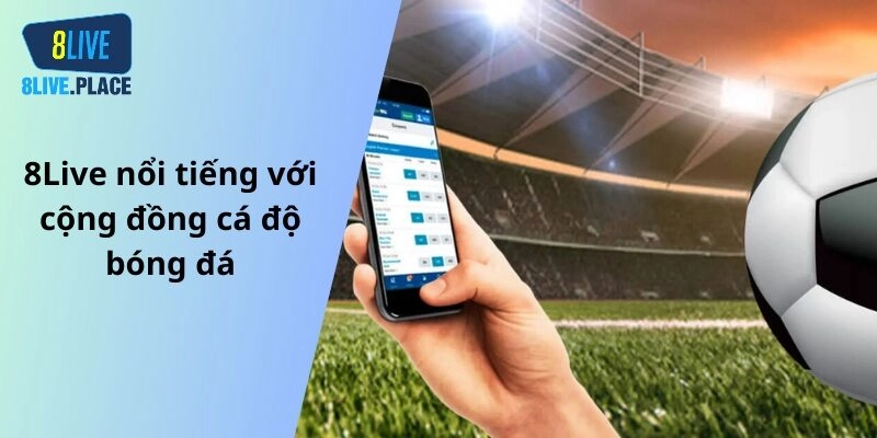 8Live nổi tiếng với cộng đồng cá độ bóng đá