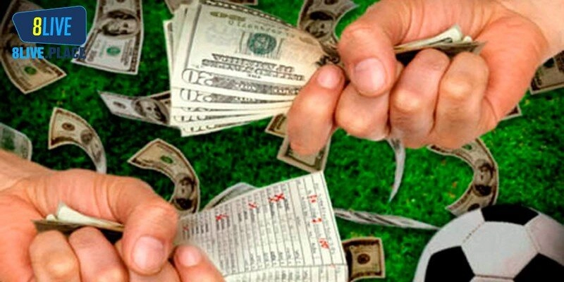 Nhà cái thân thiện mang đến trải nghiệm cực kỳ an toàn, bảo mật thông tin 