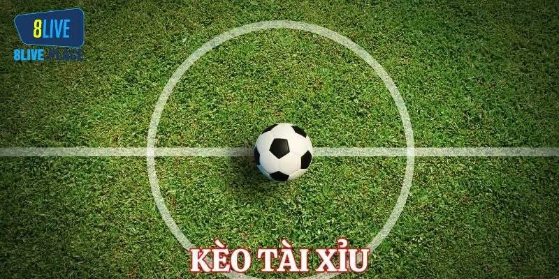 Tìm hiểu sơ lược về hình thức kèo tài xỉu