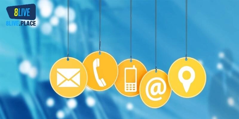 Các vấn đề thường gặp khi liên hệ 8live