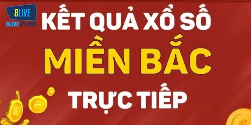 Kết Quả Xổ Số Miền Bắc 30 Ngày 8live Và Dự Đoán Chính Xác
